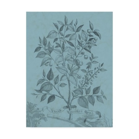 Vision Studio 'Botanical On Teal V' Canvas Art,14x19